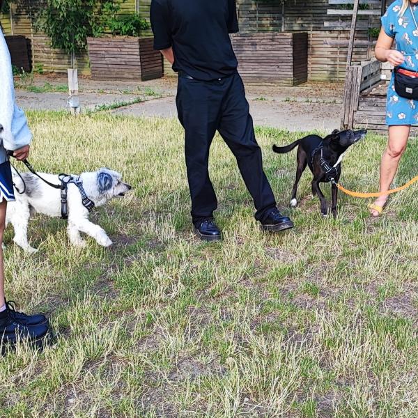 Begegnungstraining Anfänger