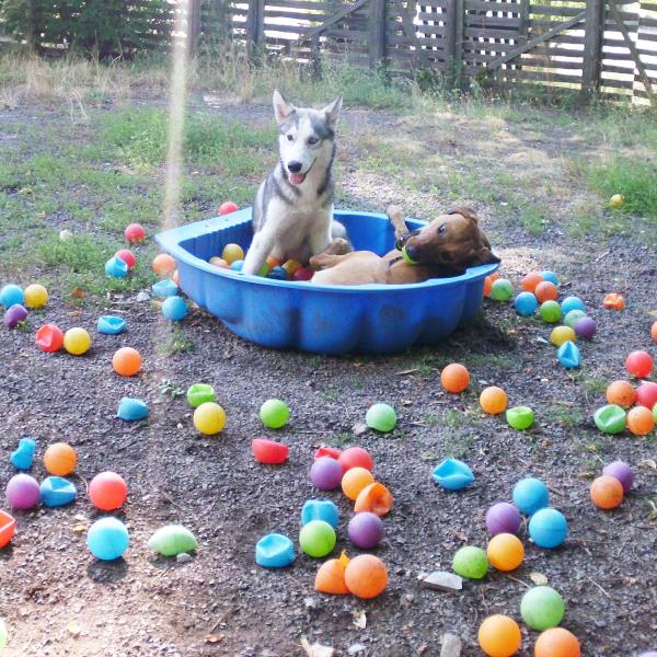 Themenwoche: Pubertier