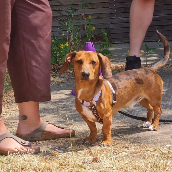 Oberschule (weiterführend)