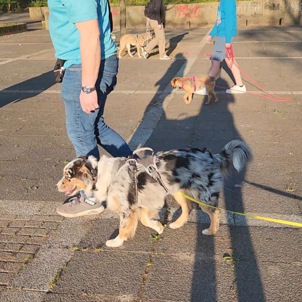 Alltagskompetenz Starter Samstag 11.30 Uhr