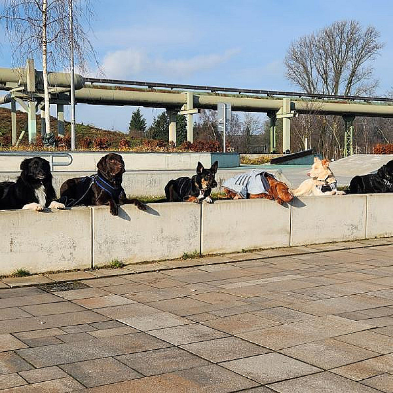 Feierabend Social Walk