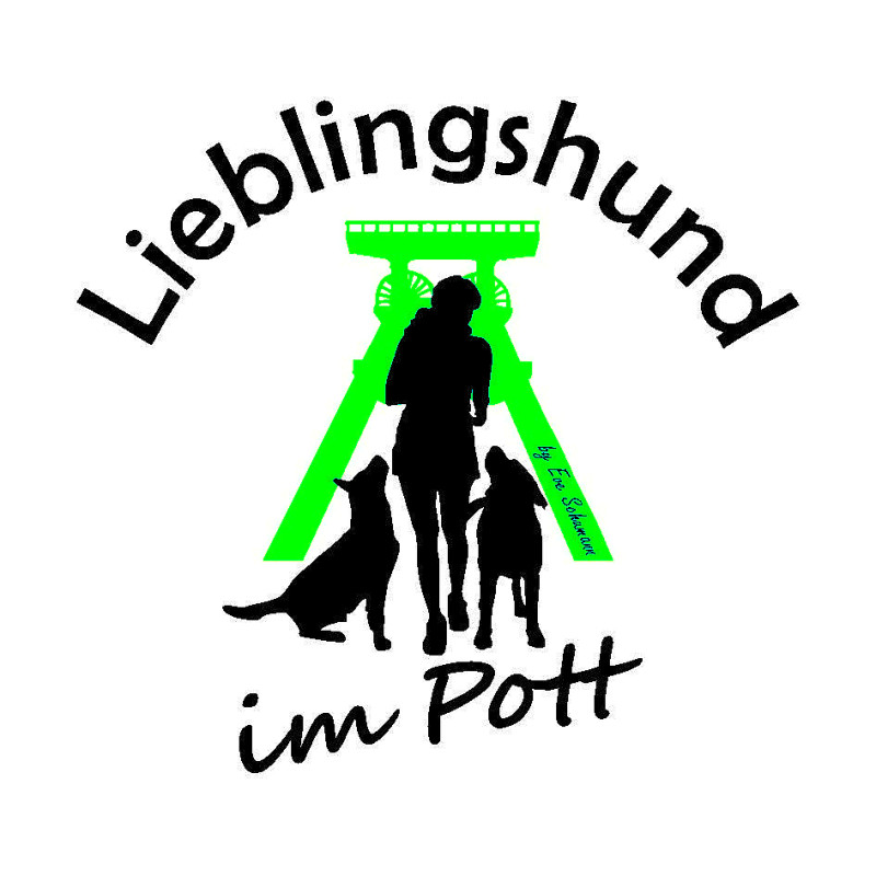 Videoauswertung Hundebegegnung via Zoom