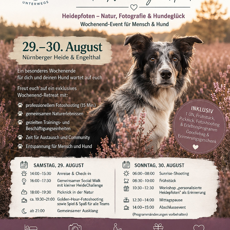AdventureDogs - Wochendtrip in der Nürnberger Heide