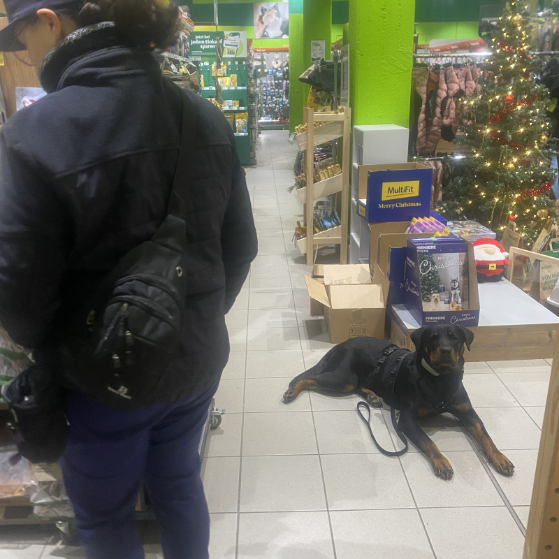 4. Klasse - Alltagsprofi