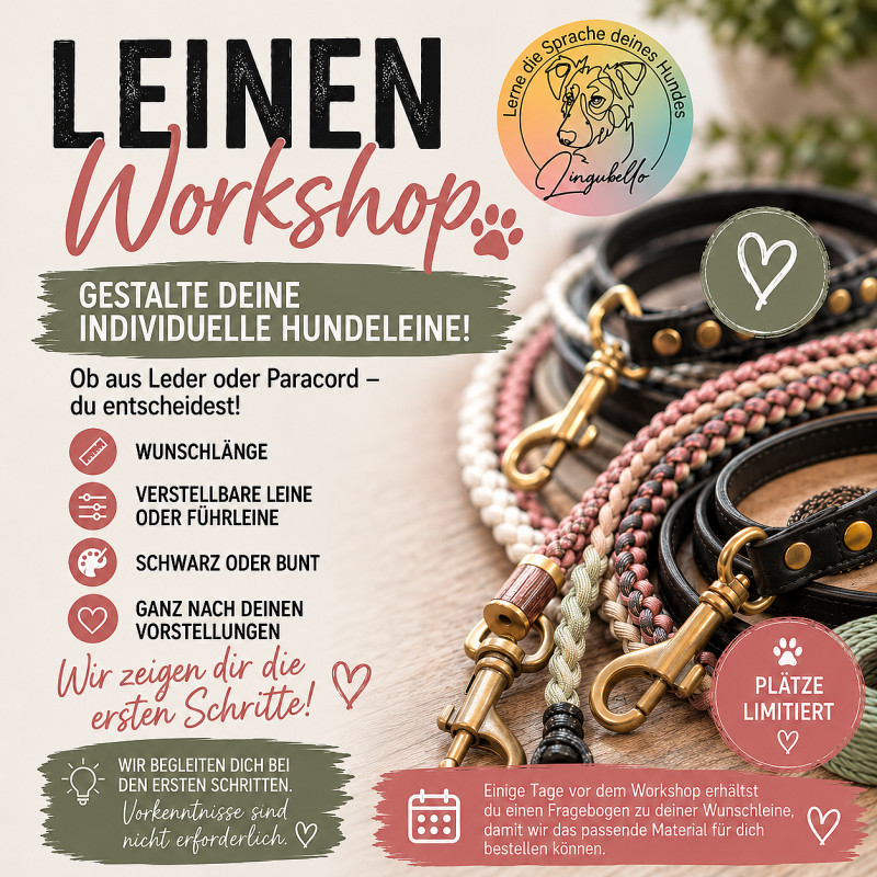 Leinen-Workshop – Gestalte deine individuelle Hundeleine! 🐾