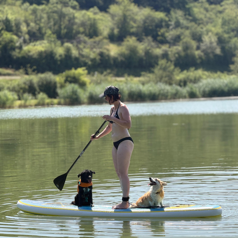 Stand-up-Paddling & Wassergewöhnung - AdventureDogs