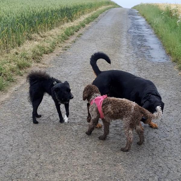 3-teiliger Körpersprache-Workshop mit Videoanalysen & Live-Beobachtung