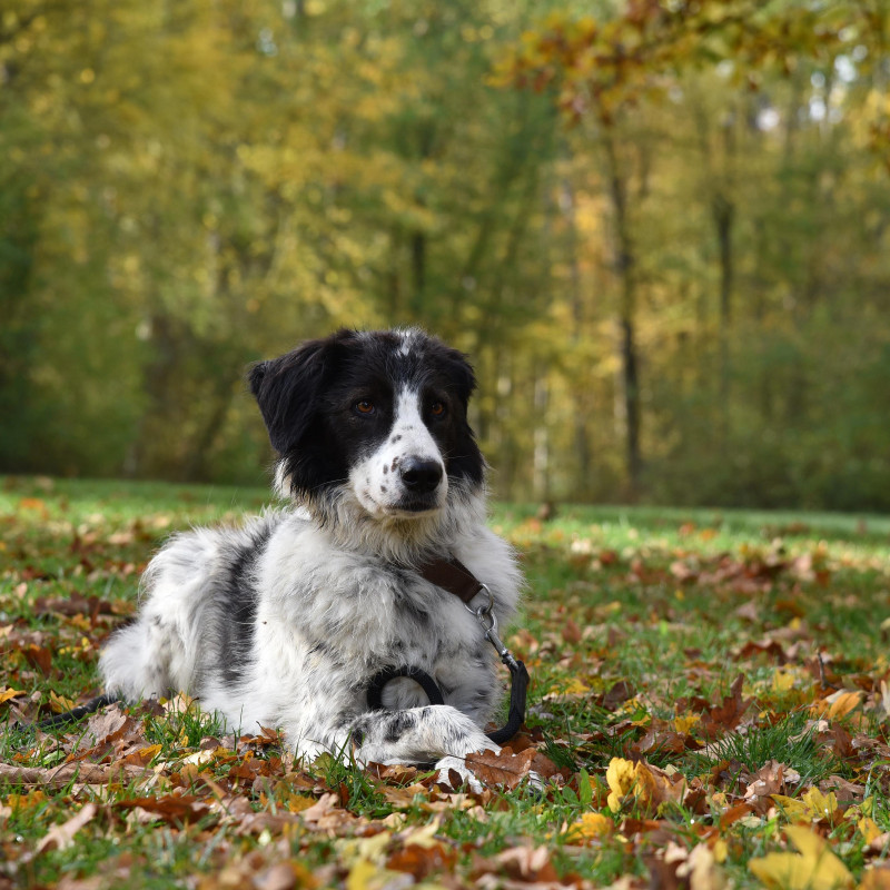 Social-ThemenWalk Verlorensuche 12.07.26