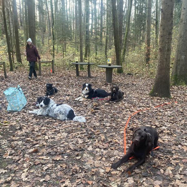 AbenteuerWalk 15.03.25 - Auslastung, Ruhe & mehr