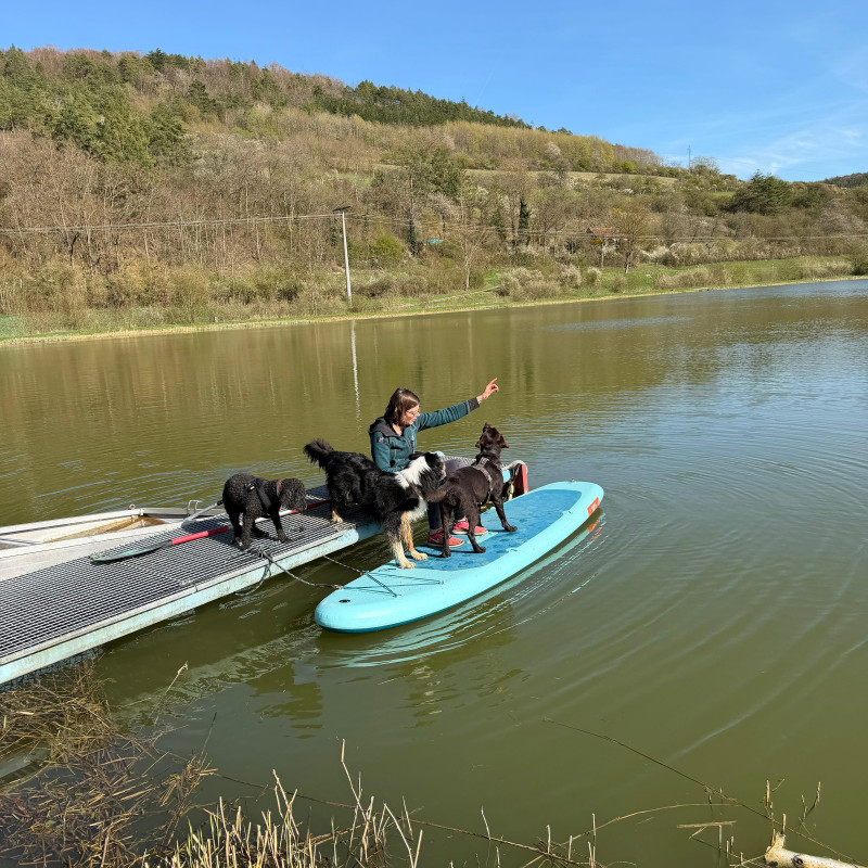 AdventureDogs - Stand-up-Padling & Wassergewöhnung
