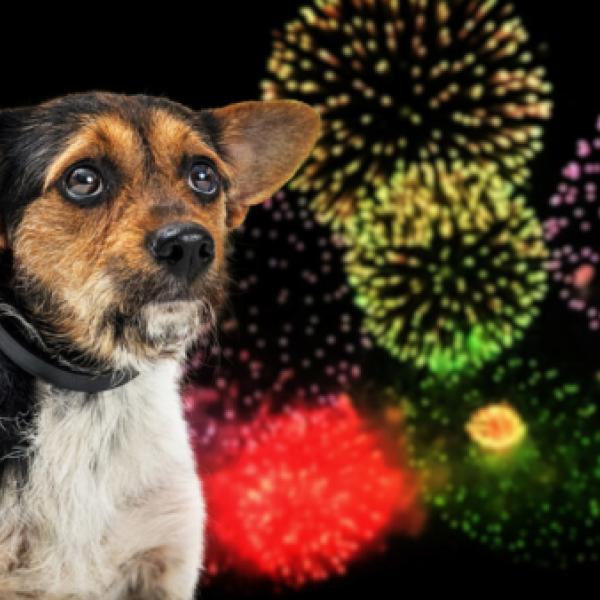 Infoabend "entspanntes Silvester"