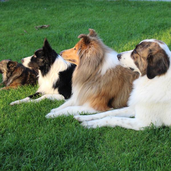Social Walk „Laufend lernen“