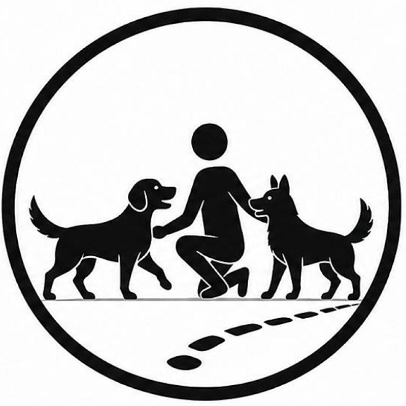 Social Walk