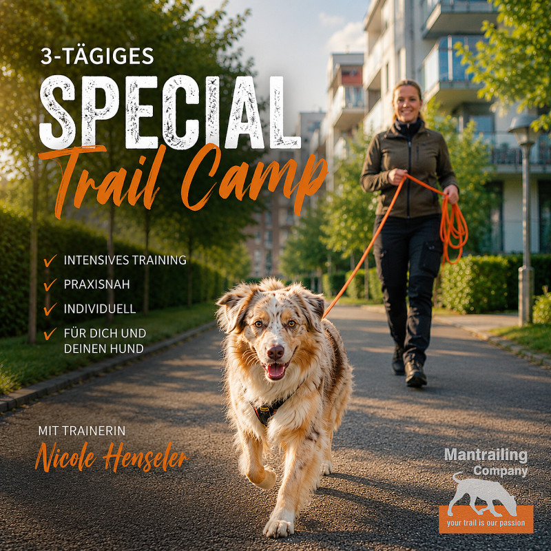 3-tägiges Special: Trail-Camp