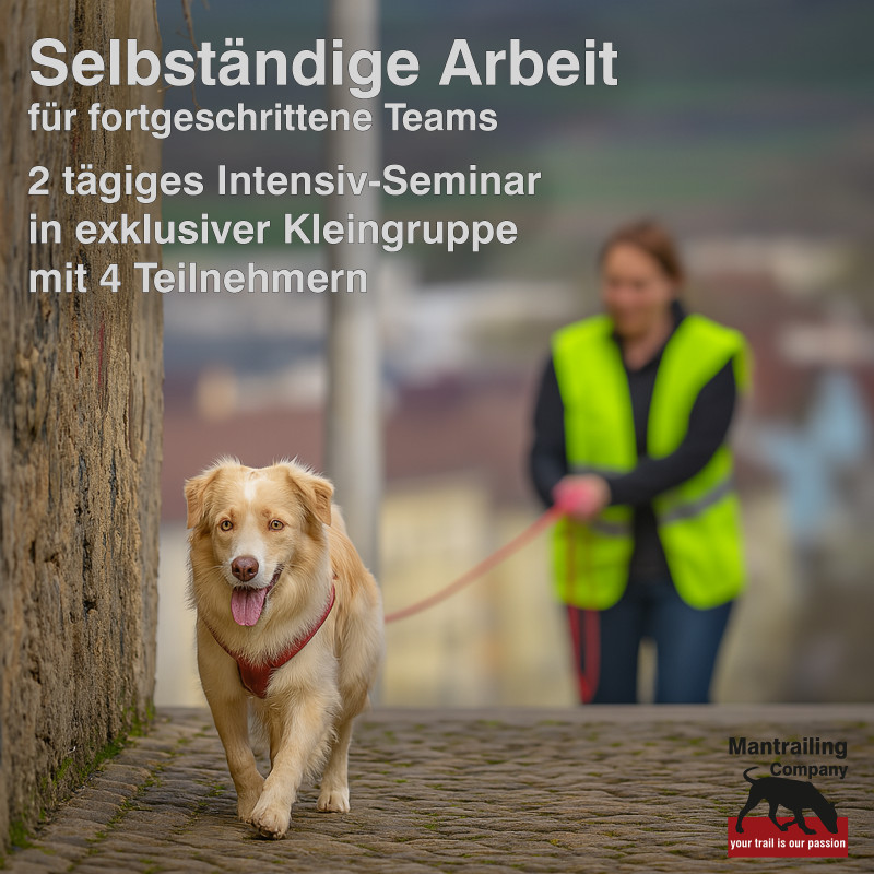 2tägiges Special: Selbständige Arbeit