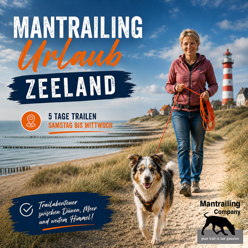 Zeeland Herbst 26 - Mantrailing Urlaub in Zeeland - Woche 2