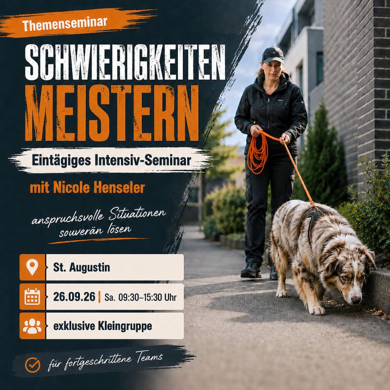 Themenseminar: Schwierigkeiten meistern (eintägiges Intensiv-Seminar)