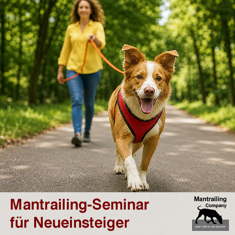GRATIS  - Seminar für Neueinsteiger (Bonn - linksrheinisch)