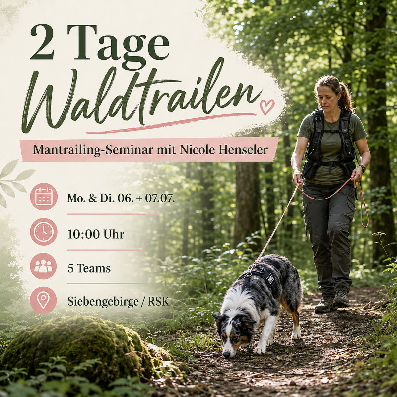 Waldtrailen im Siebengebirge (2-tägiges Seminar)