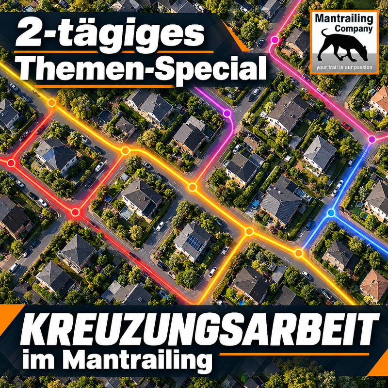 2-tägiges Special: Leinenhandling & Kreuzungsarbeit intensiv (mit Hund)