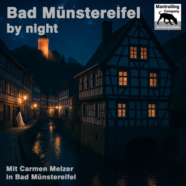 Bad Münstereifel by night