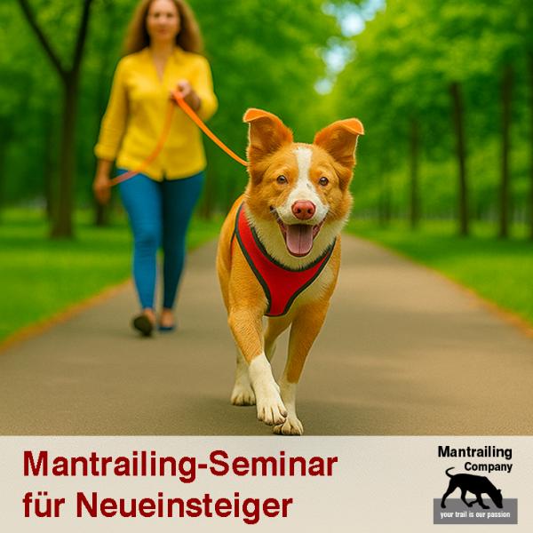 GRATIS  - Seminar für Neueinsteiger (St. Augustin)
