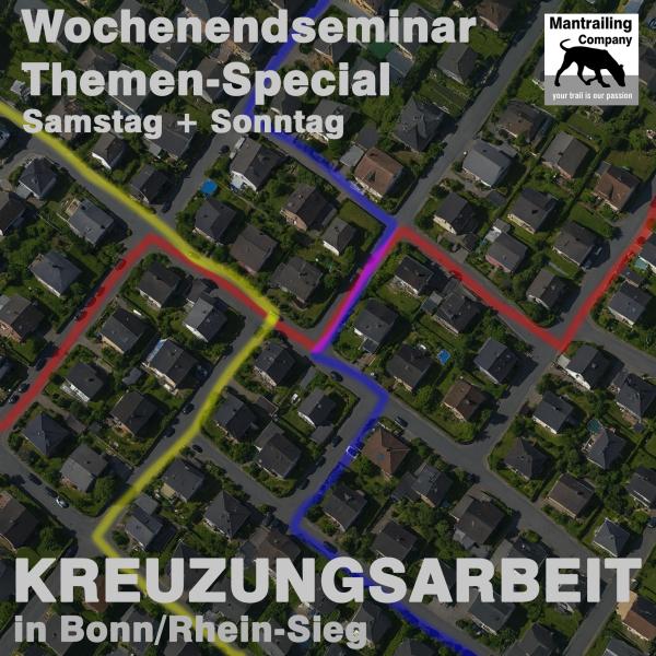 2-tägig: Kreuzungsarbeit intensiv