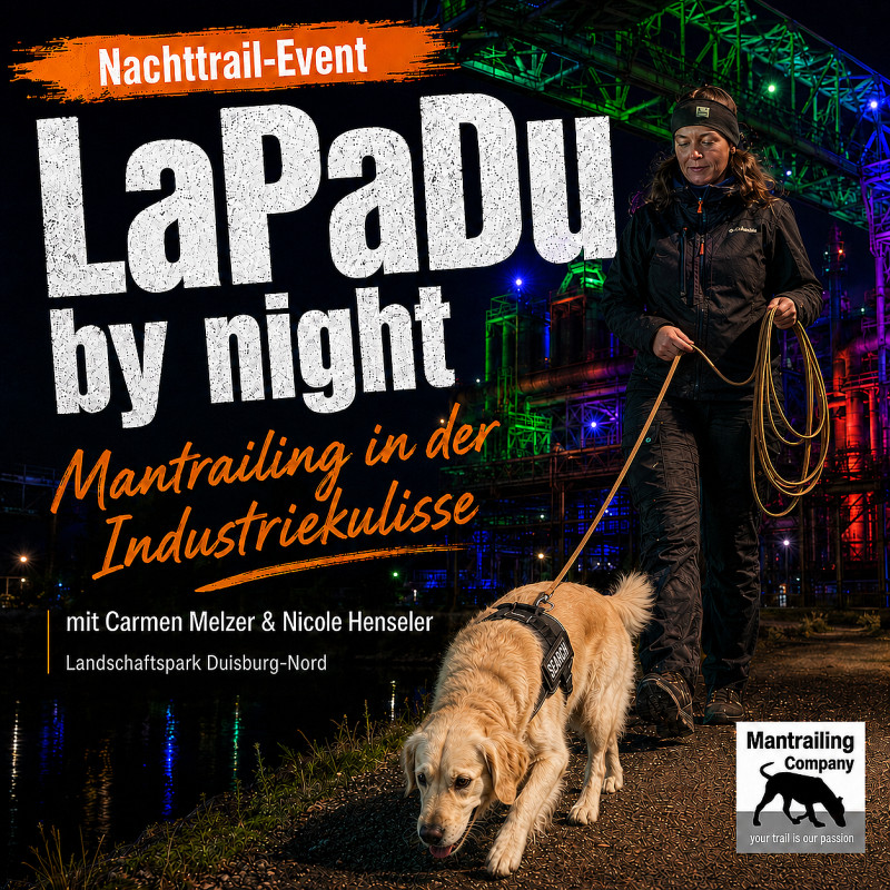 Landschaftspark by night