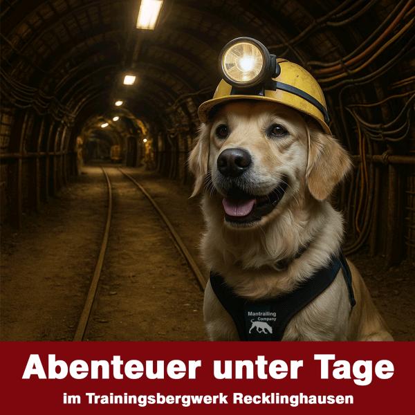 Glück auf - Mantrailing im Bergwerk