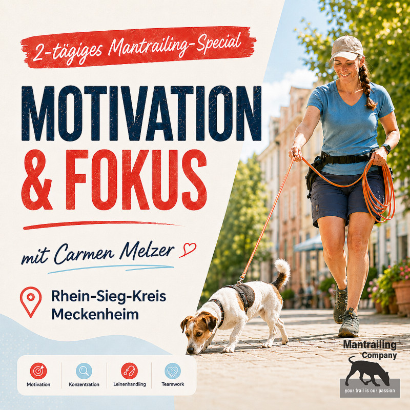 2tägiges Special: Motivation & Fokus