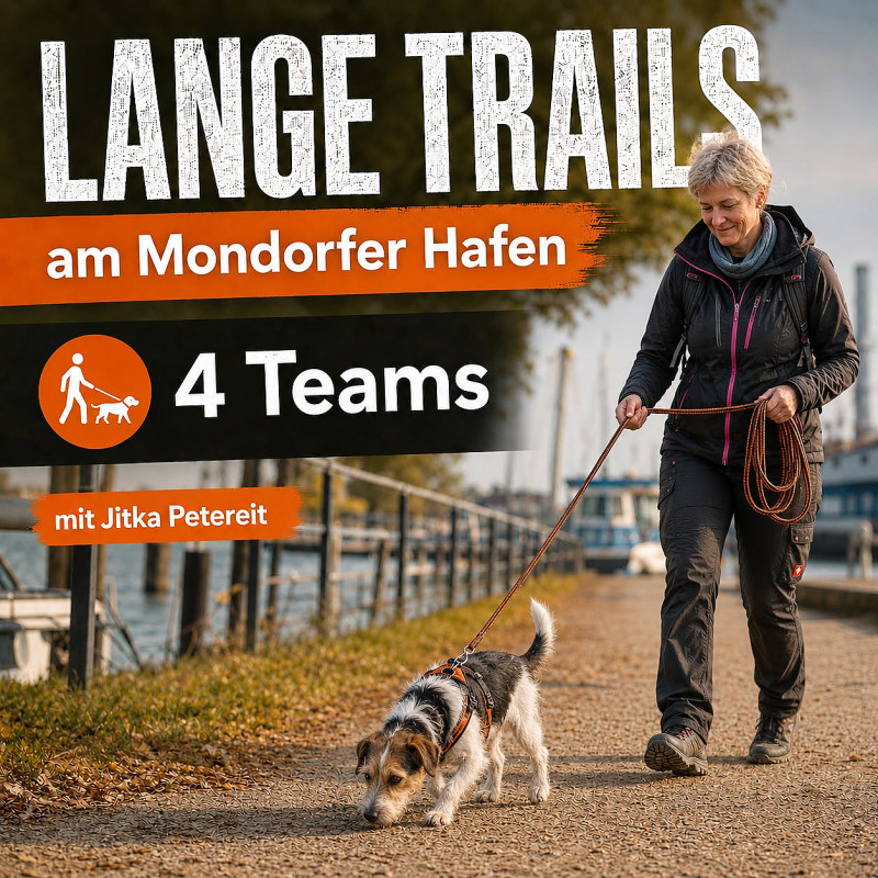 Lange Trails - Stützpunkt Rhein-Sieg - Mondorfer Hafen