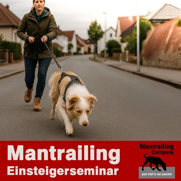 GRATIS - Seminar für Neueinsteiger (Erftstadt)