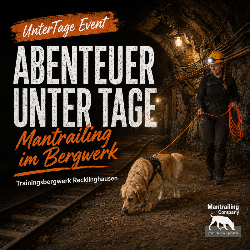 Glück auf - Mantrailing im Bergwerk