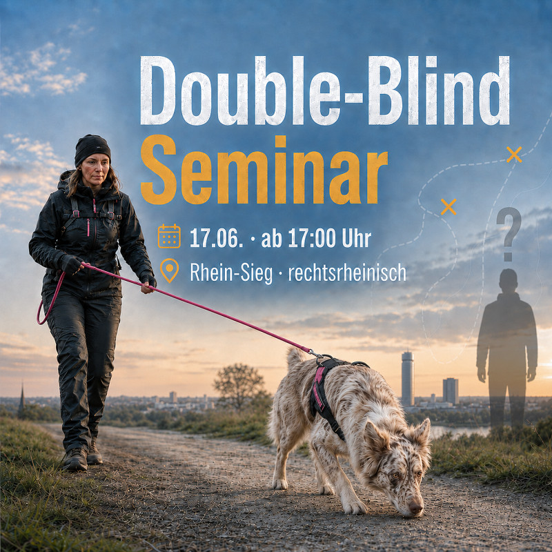 Double-Blind Seminar (für fortgeschrittene Teams)