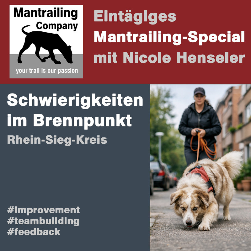 Tagesseminar: Thema Schwierigkeiten meistern