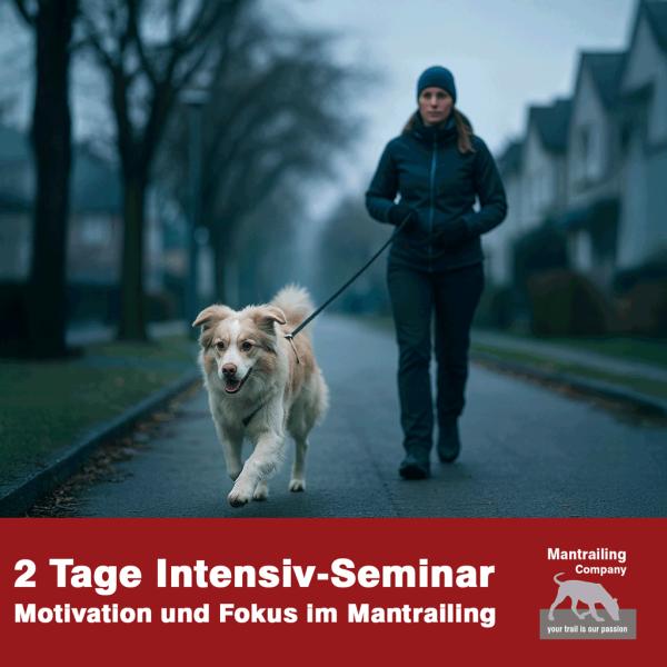 2-tägiges Special: Motivation und Fokus