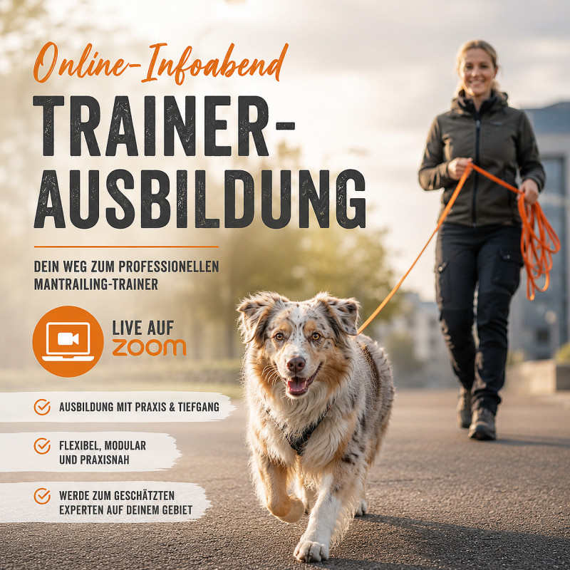 Infoabend - Trainerausbildung 26/27