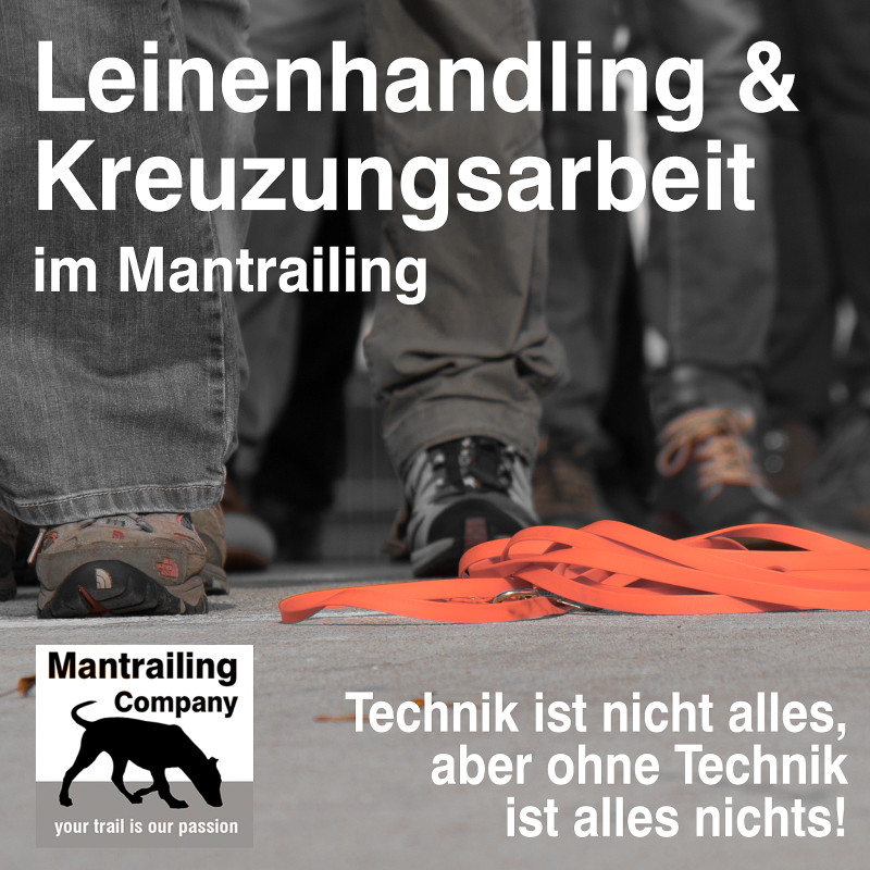 Leinenhandling & Kreuzungsarbeit (Outdoor ohne Hund)