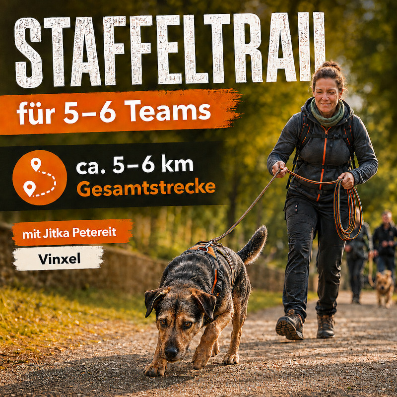 Staffeltrail Vinxel (Siebengebirge)