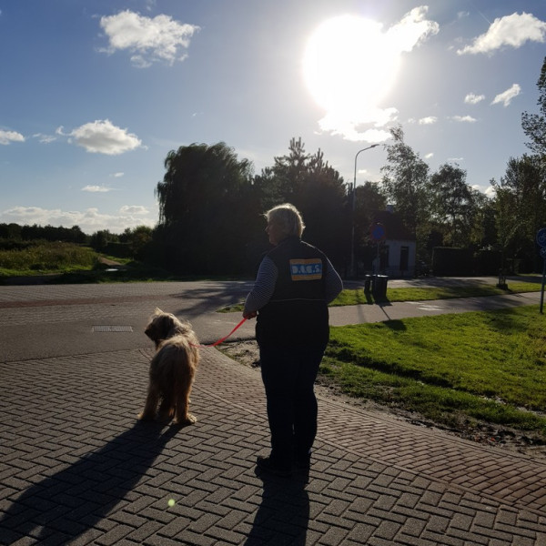 Mantrailing als Freizeitbeschäftigung BE