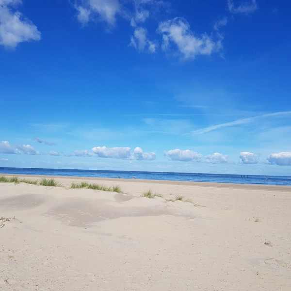 Urlaub mit Hund in Renesse / Holland