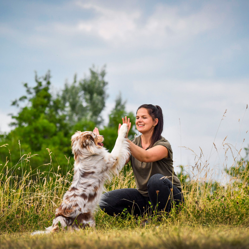 Basiskurs Aarau DI (April)