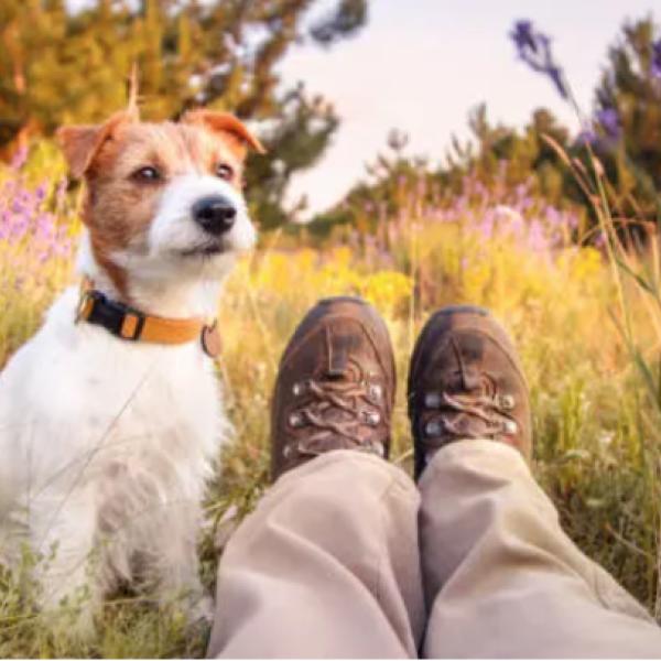 Osterevent: Frühlingsspaziergang XXL