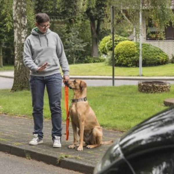 Stadttraining inkl. Restaurantbesuch