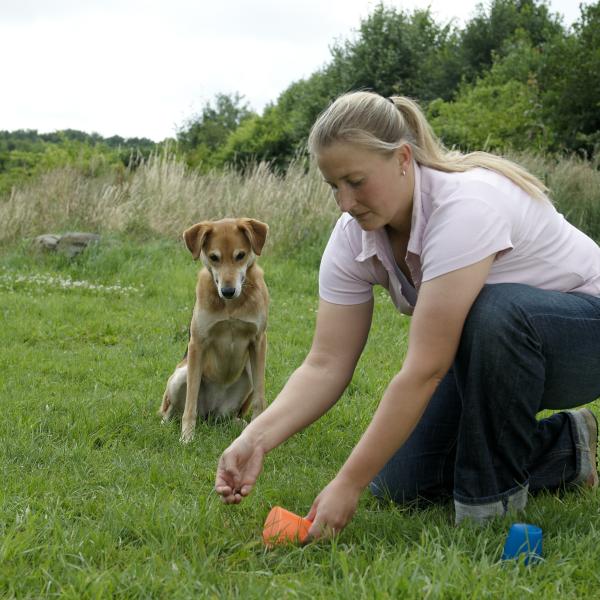 Spiel, Spass und Erziehung