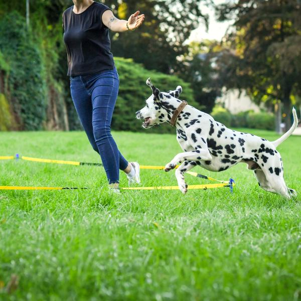Distanztraining Schnupperkurs
