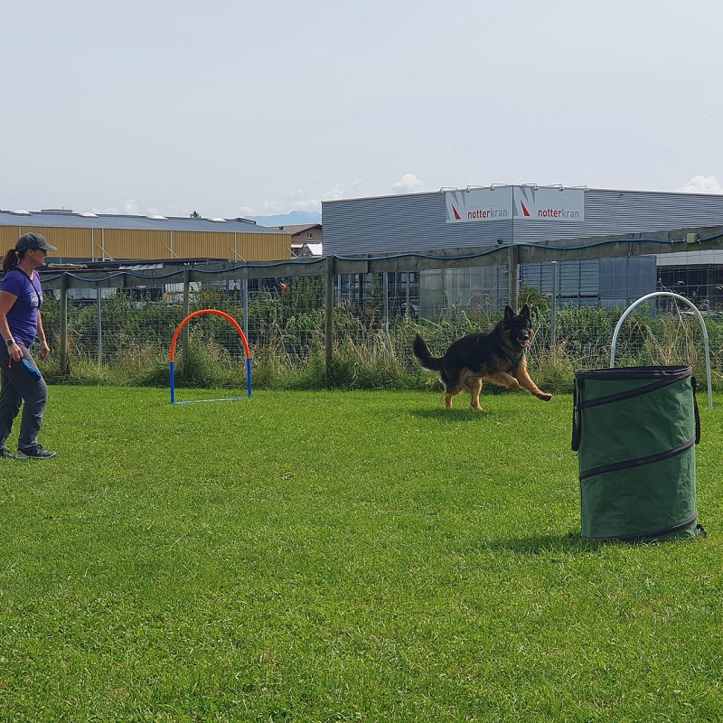 Hoopers Schnupperstunde, 10.7.2026