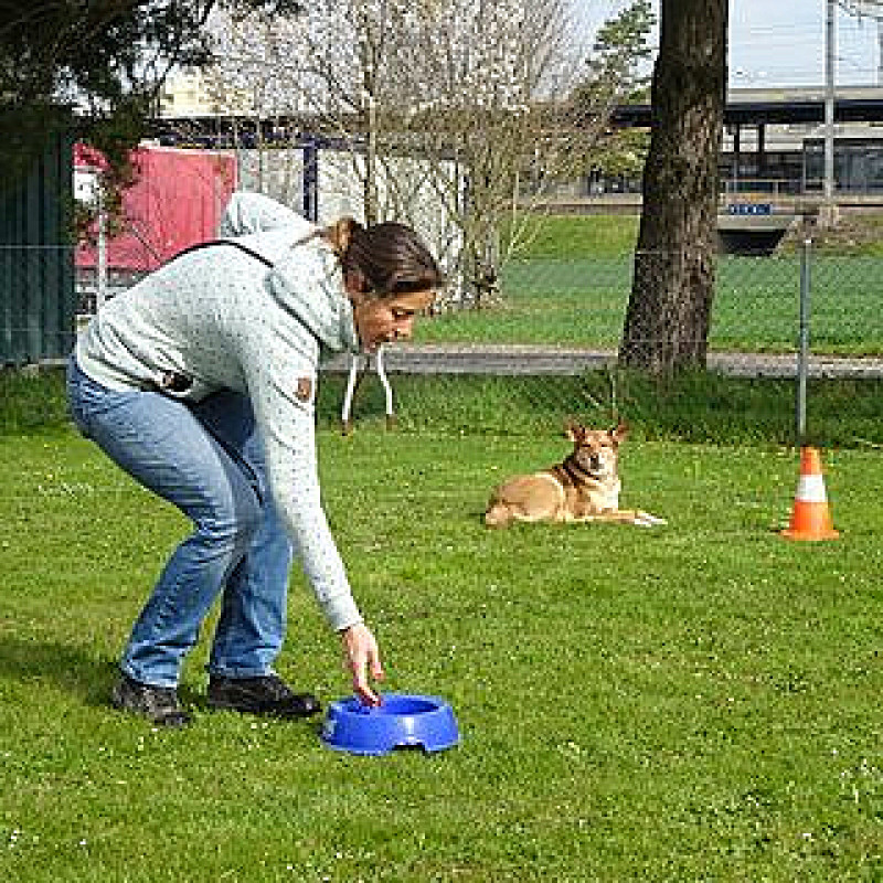 Bunte Stunde Fr. 16 Uhr