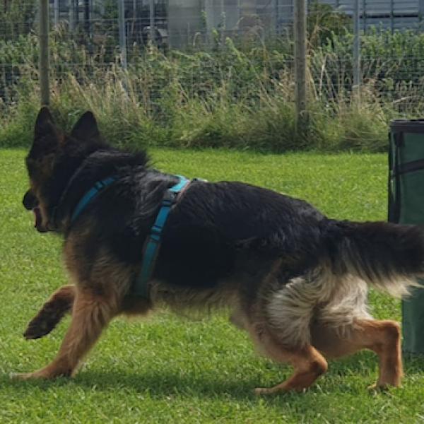 CurvCross Fr. 16 Uhr