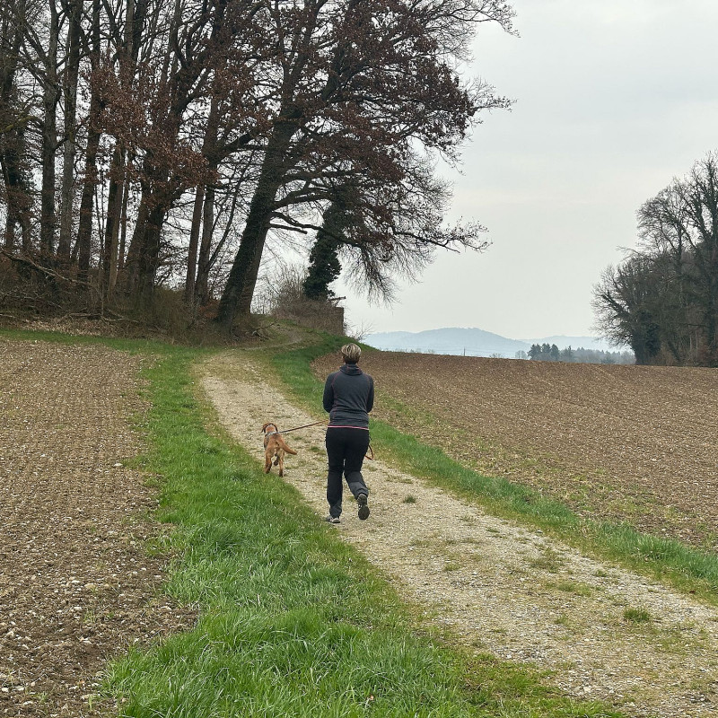 Mantrailing, So. 10.5.2026